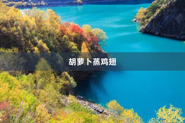 胡萝卜蒸鸡翅