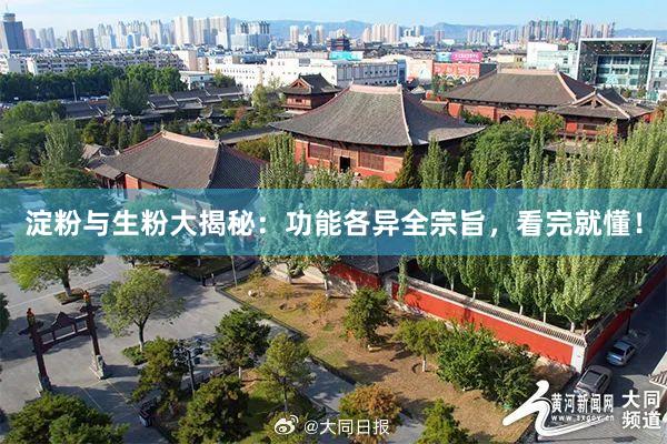 淀粉与生粉大揭秘:功能各异全宗旨,看完就懂!