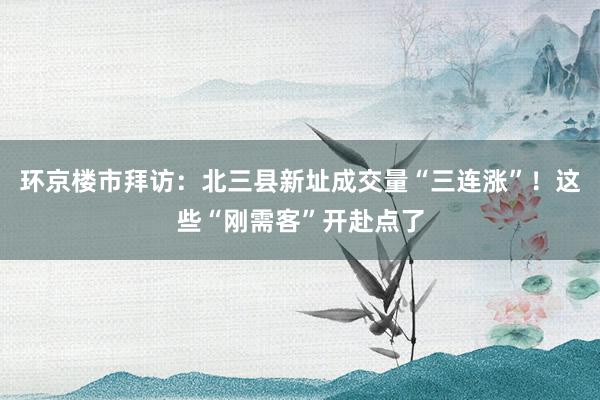 环京楼市拜访：北三县新址成交量“三连涨”！这些“刚需客”开赴点了