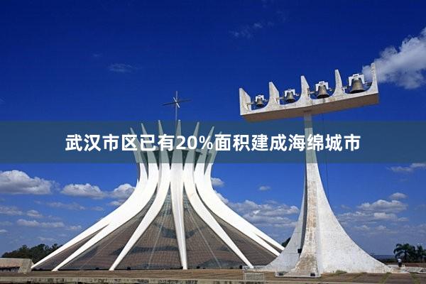 武汉市区已有20%面积建成海绵城市