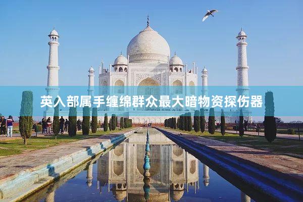 英入部属手缠绵群众最大暗物资探伤器