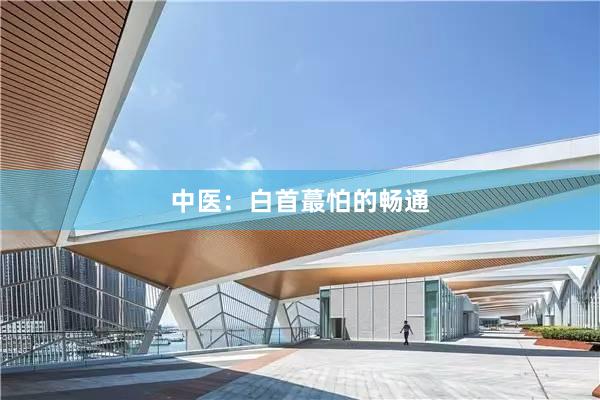 中医：白首蕞怕的畅通