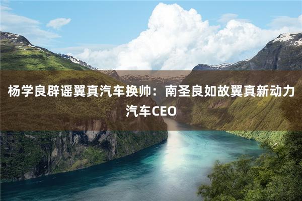 杨学良辟谣翼真汽车换帅：南圣良如故翼真新动力汽车CEO