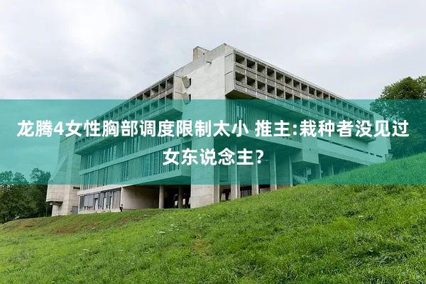 龙腾4女性胸部调度限制太小 推主:栽种者没见过女东说念主？