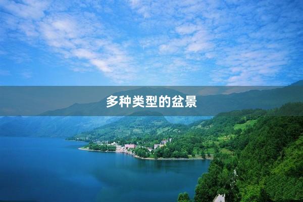 多种类型的盆景