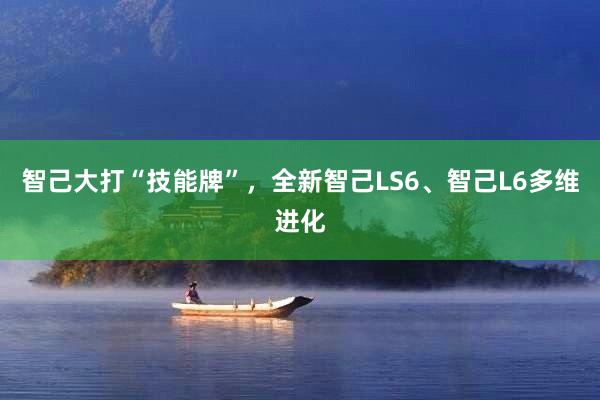 智己大打“技能牌”，全新智己LS6、智己L6多维进化