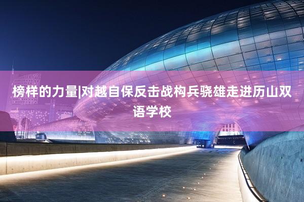 榜样的力量|对越自保反击战构兵骁雄走进历山双语学校