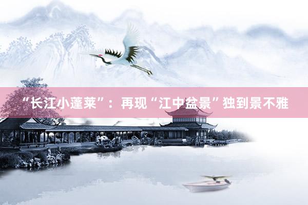 “长江小蓬莱”：再现“江中盆景”独到景不雅