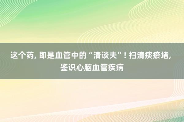 这个药, 即是血管中的“清谈夫”! 扫清痰瘀堵, 鉴识心脑血管疾病